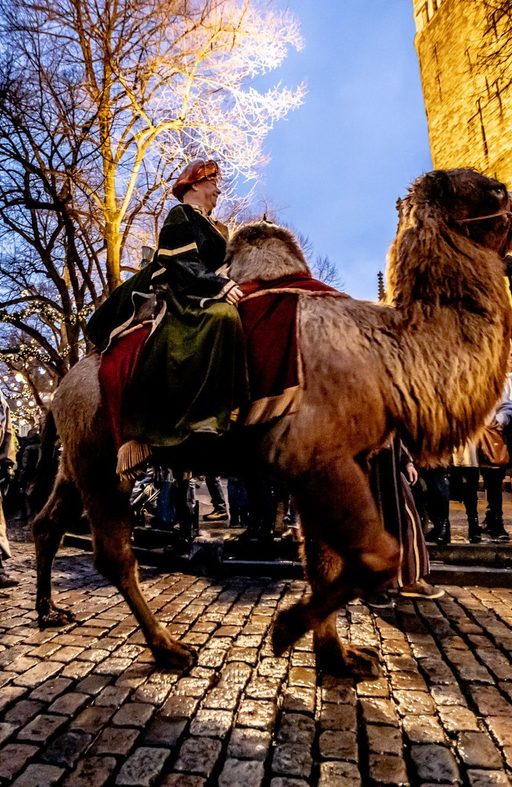 Driekoningen maastricht